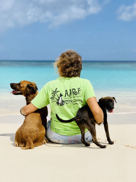 Two Anguilla Dogs on the beach with an AARF volunteer