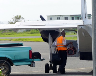 A photo from the AARF October 2017 airlift of dogs and cats from Anguilla to St. Maarten to Tennesse