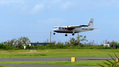 A photo from the AARF October 2017 airlift of dogs and cats from Anguilla to St. Maarten to Tennesse