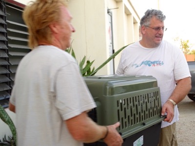 A photo from the AARF April 3, 2018 airlift of dogs and cats from Anguilla to St. Maarten to San Juan to Florida