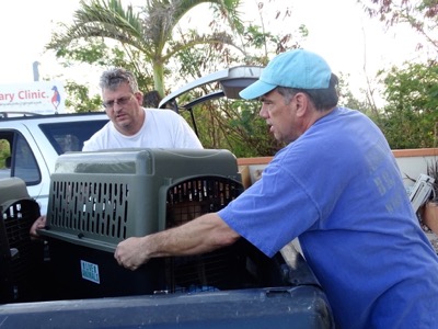 A photo from the AARF April 3, 2018 airlift of dogs and cats from Anguilla to St. Maarten to San Juan to Florida