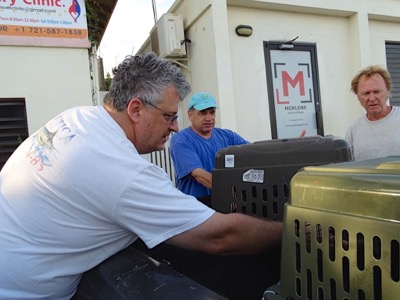 A photo from the AARF April 3, 2018 airlift of dogs and cats from Anguilla to St. Maarten to San Juan to Florida