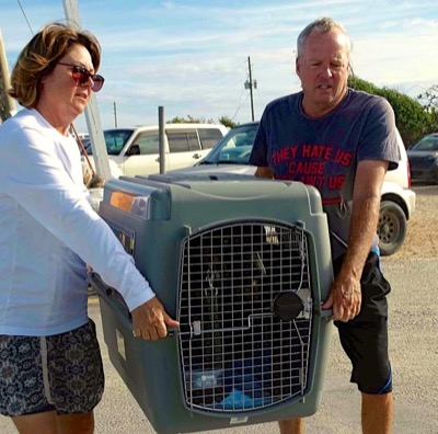 A photo from the AARF April 3, 2018 airlift of dogs and cats from Anguilla to St. Maarten to San Juan to Florida