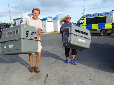 A photo from the AARF April 3, 2018 airlift of dogs and cats from Anguilla to St. Maarten to San Juan to Florida