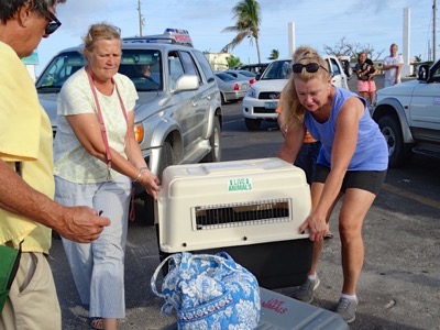 A photo from the AARF April 3, 2018 airlift of dogs and cats from Anguilla to St. Maarten to San Juan to Florida