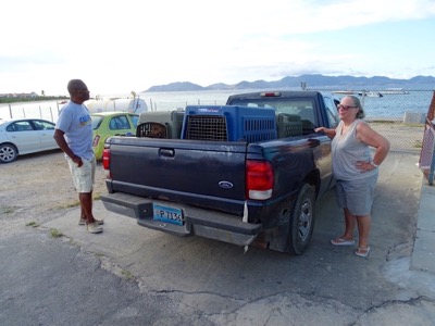 A photo from the AARF April 3, 2018 airlift of dogs and cats from Anguilla to St. Maarten to San Juan to Florida