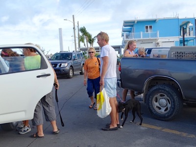 A photo from the AARF April 3, 2018 airlift of dogs and cats from Anguilla to St. Maarten to San Juan to Florida