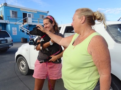 A photo from the AARF April 3, 2018 airlift of dogs and cats from Anguilla to St. Maarten to San Juan to Florida