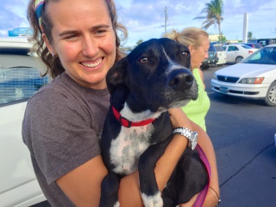 A photo from the AARF April 3, 2018 airlift of dogs and cats from Anguilla to St. Maarten to San Juan to Florida