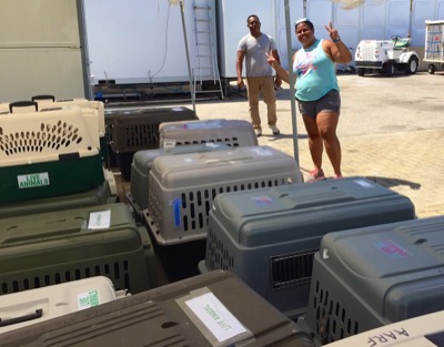 A photo from the AARF April 3, 2018 airlift of dogs and cats from Anguilla to St. Maarten to San Juan to Florida