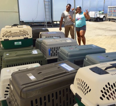 A photo from the AARF April 3, 2018 airlift of dogs and cats from Anguilla to St. Maarten to San Juan to Florida