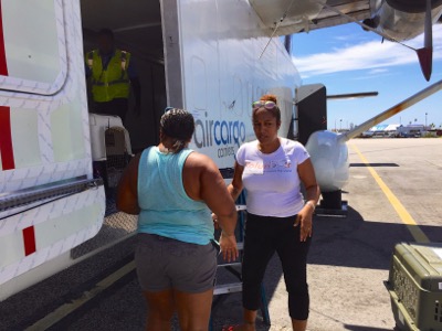 A photo from the AARF April 3, 2018 airlift of dogs and cats from Anguilla to St. Maarten to San Juan to Florida