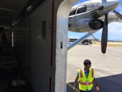 A photo from the AARF April 3, 2018 airlift of dogs and cats from Anguilla to St. Maarten to San Juan to Florida