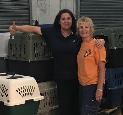 A photo from the AARF April 3, 2018 airlift of dogs and cats from Anguilla to St. Maarten to San Juan to Florida