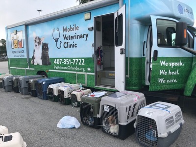 A photo from the AARF April 3, 2018 airlift of dogs and cats from Anguilla to St. Maarten to San Juan to Florida