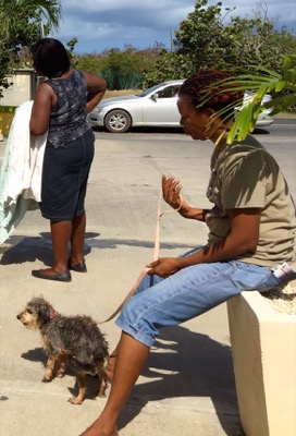 A photo from the AARF March 17, 2018 dog wash at the St. James School of Medicine