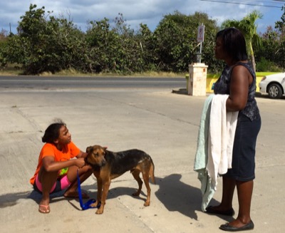 A photo from the AARF March 17, 2018 dog wash at the St. James School of Medicine