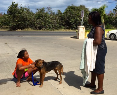 A photo from the AARF March 17, 2018 dog wash at the St. James School of Medicine