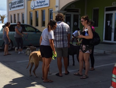 A photo from the AARF March 17, 2018 dog wash at the St. James School of Medicine