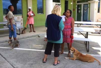 A photo from the AARF March 17, 2018 dog wash at the St. James School of Medicine