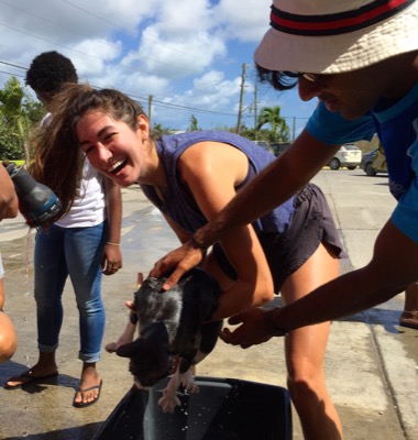 A photo from the AARF March 17, 2018 dog wash at the St. James School of Medicine