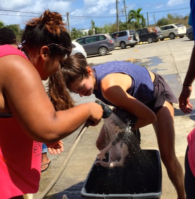 A photo from the AARF March 17, 2018 dog wash at the St. James School of Medicine