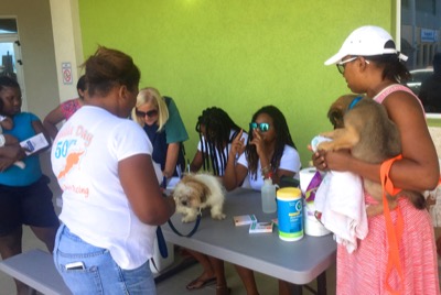 A photo from the AARF March 17, 2018 dog wash at the St. James School of Medicine