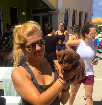 A photo from the AARF March 17, 2018 dog wash at the St. James School of Medicine