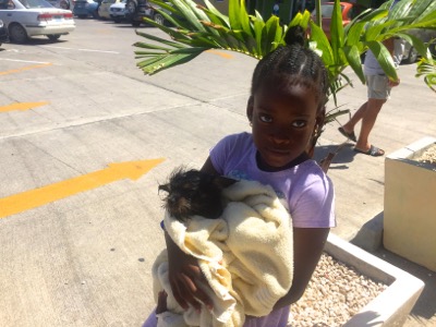 A photo from the AARF March 17, 2018 dog wash at the St. James School of Medicine