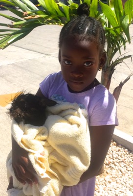 A photo from the AARF March 17, 2018 dog wash at the St. James School of Medicine