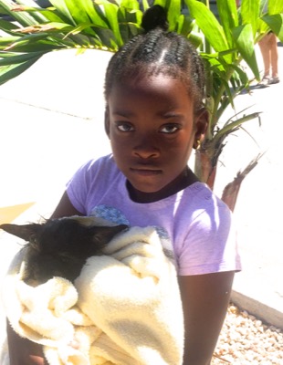 A photo from the AARF March 17, 2018 dog wash at the St. James School of Medicine