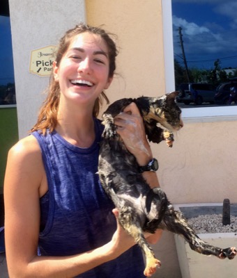 A photo from the AARF March 17, 2018 dog wash at the St. James School of Medicine