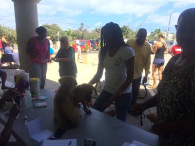 A photo from the AARF March 17, 2018 dog wash at the St. James School of Medicine