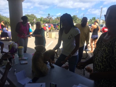 A photo from the AARF March 17, 2018 dog wash at the St. James School of Medicine