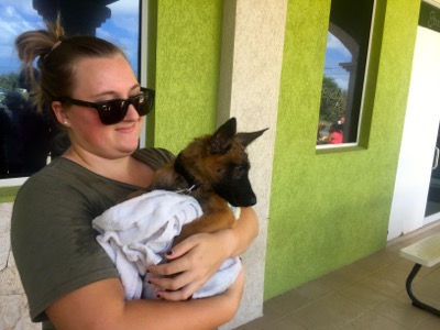 A photo from the AARF March 17, 2018 dog wash at the St. James School of Medicine