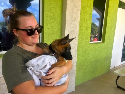 A photo from the AARF March 17, 2018 dog wash at the St. James School of Medicine