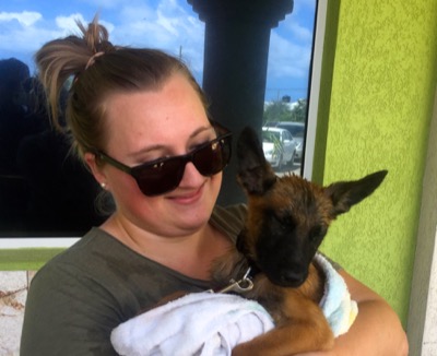 A photo from the AARF March 17, 2018 dog wash at the St. James School of Medicine