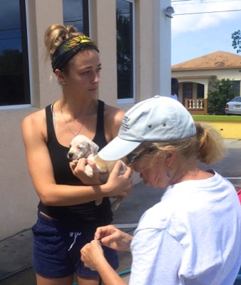 A photo from the AARF March 17, 2018 dog wash at the St. James School of Medicine