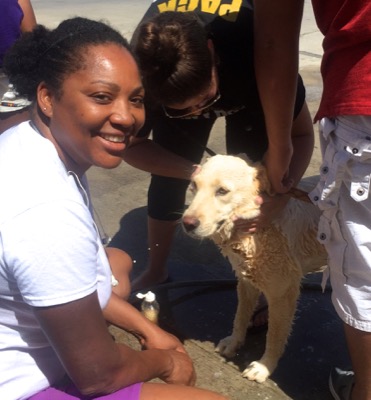 A photo from the AARF March 17, 2018 dog wash at the St. James School of Medicine