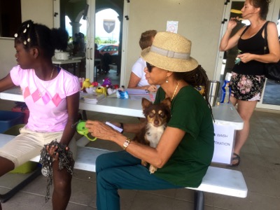 A photo from the AARF March 17, 2018 dog wash at the St. James School of Medicine