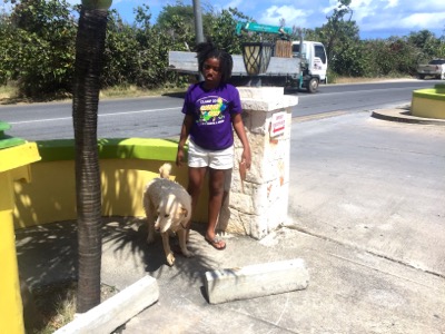 A photo from the AARF March 17, 2018 dog wash at the St. James School of Medicine