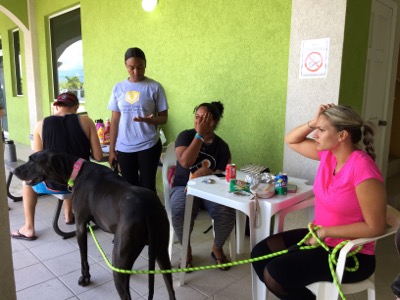 A photo from the AARF March 17, 2018 dog wash at the St. James School of Medicine