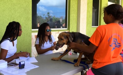 A photo from the AARF March 17, 2018 dog wash at the St. James School of Medicine