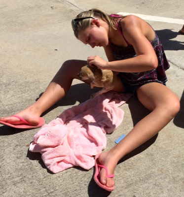 A photo from the AARF March 17, 2018 dog wash at the St. James School of Medicine