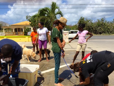 A photo from the AARF March 17, 2018 dog wash at the St. James School of Medicine