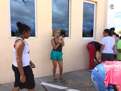 A photo from the AARF March 17, 2018 dog wash at the St. James School of Medicine