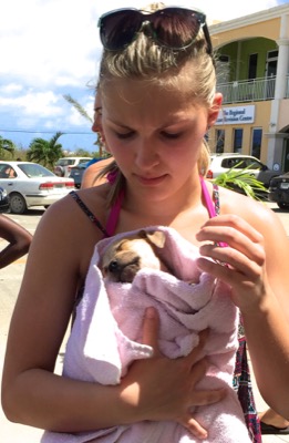 A photo from the AARF March 17, 2018 dog wash at the St. James School of Medicine