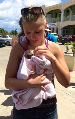 A photo from the AARF March 17, 2018 dog wash at the St. James School of Medicine