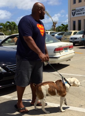 A photo from the AARF March 17, 2018 dog wash at the St. James School of Medicine