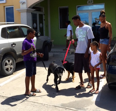 A photo from the AARF March 17, 2018 dog wash at the St. James School of Medicine